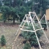 Jesienna pielęgnacja i przygotowanie rododendronów na zimę